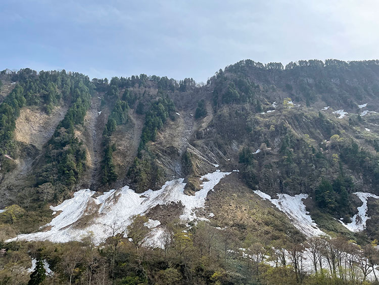富山 称名滝への道 2024年春