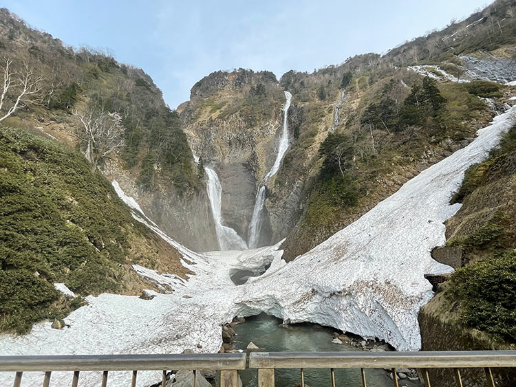 富山 称名滝 ハンノキ滝 2024年春