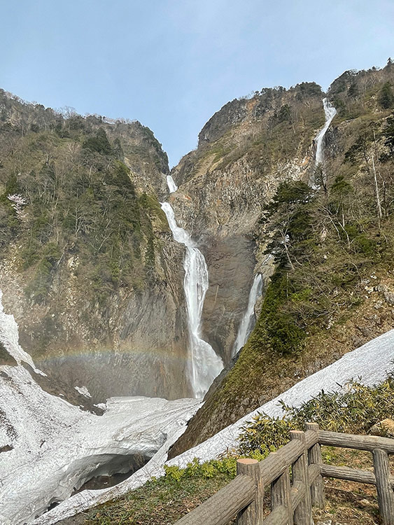 富山 称名滝 ハンノキ滝 2024年春