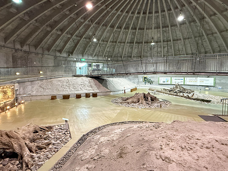 魚津埋没林博物館 ドーム館