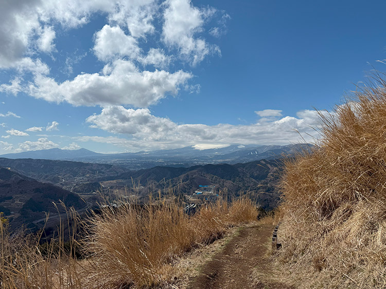 大野山登山途中の景色