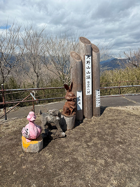 大野山頂上