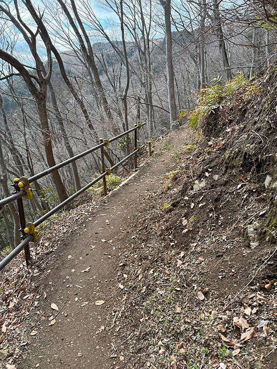 大野山登山途中の景色