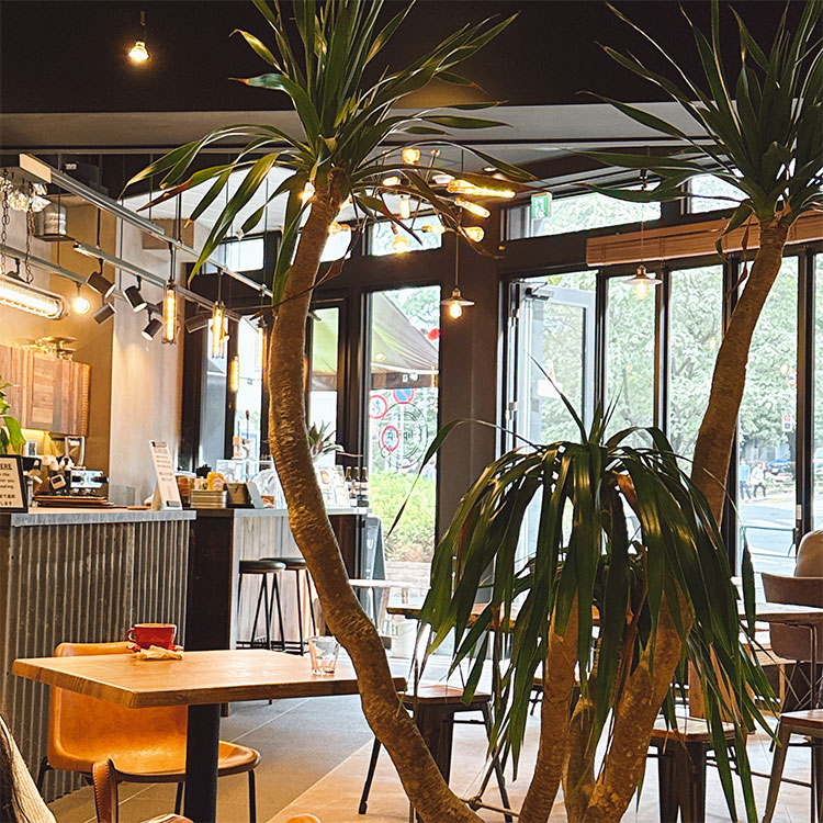 Flip Flip Coffee Supply 店内