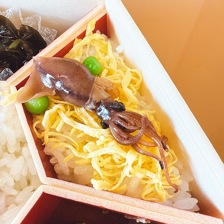 ますのすし本舗 源 お弁当 有磯海 ほたるいかちらし