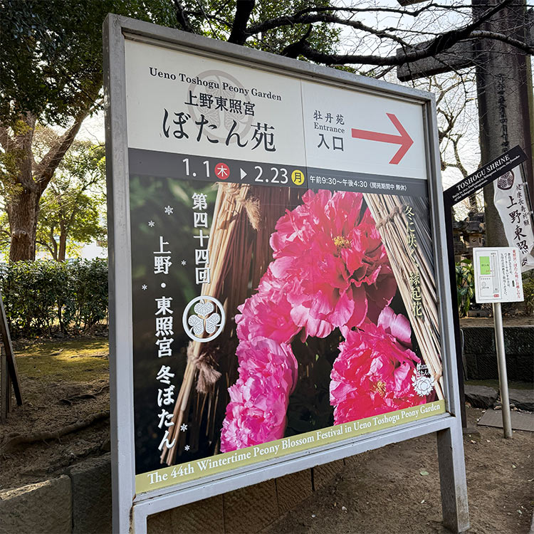 上野東照宮 ぼたん苑 看板
