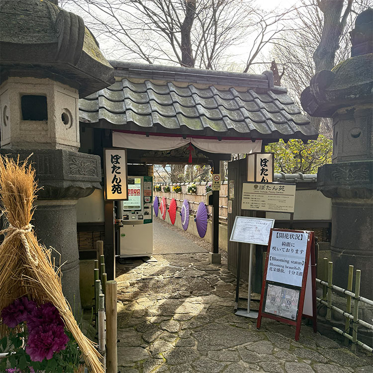 上野東照宮 ぼたん苑 入口