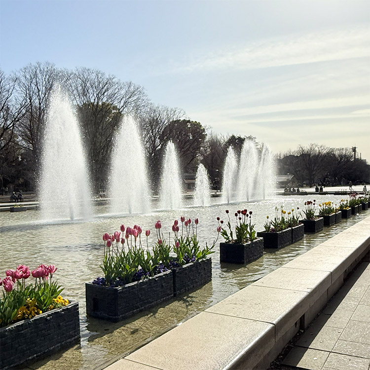 上野公園 噴水